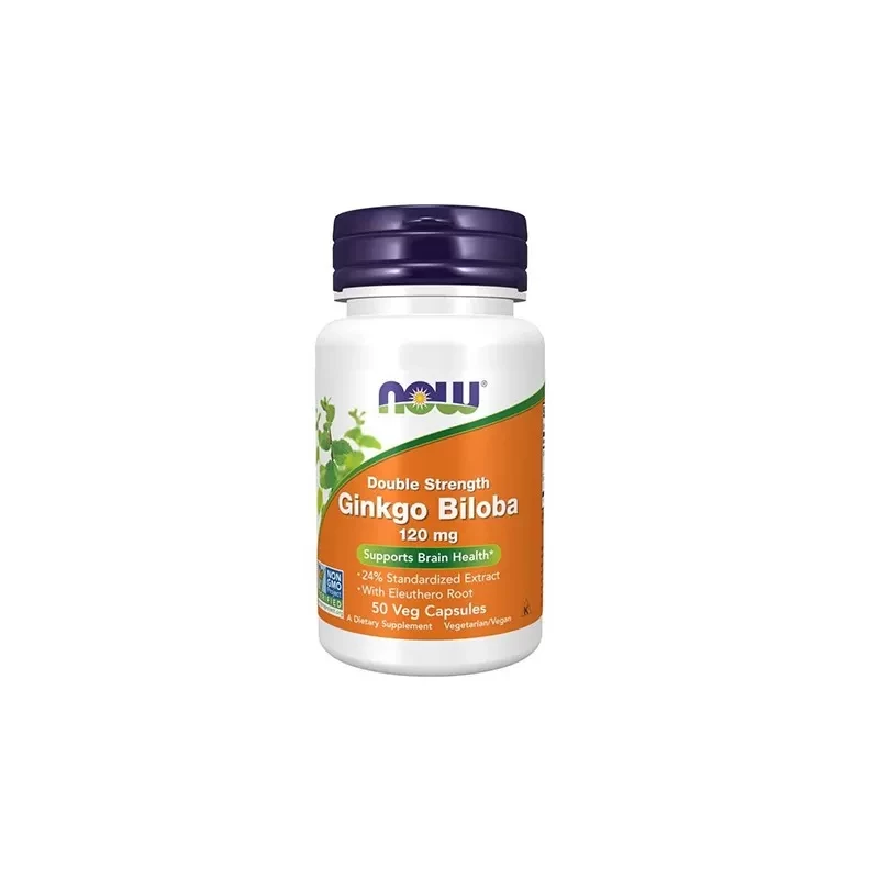 NOW Ginkgo Biloba Double Strength